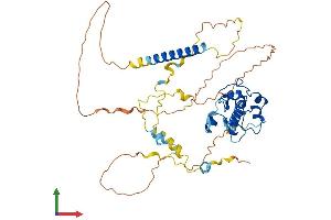 Protein Structure (PS) image for Cell Division Cycle Associated 7-Like (CDCA7L) (AA 1-454) protein (His tag) (ABIN7553060)