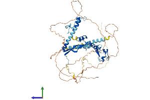 Protein Structure (PS) image for Cysteine-serine-Rich Nuclear Protein 2 (CSRNP2) (AA 1-543) protein (His tag) (ABIN7546773)