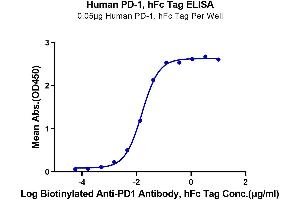 ELISA image for Programmed Cell Death 1 (PDCD1) (AA 25-167) protein (Fc Tag) (ABIN7275419)