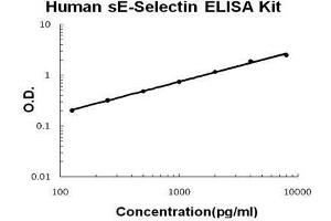Human sE-Selectin PicoKine ELISA Kit standard curve (Selectin E/CD62e ELISA 试剂盒)