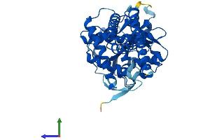 AlphaFold protein structure predicition of Human Recombinant UGCG Protein, UniprotID Q16739