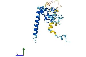Protein Structure (PS) image for Ring Finger Protein 181 (RNF181) (AA 1-165) protein (His tag) (ABIN7560745)