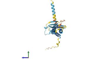 Protein Structure (PS) image for Calcium Channel, Voltage-Dependent, gamma Subunit 6 (CACNG6) (AA 1-260) protein (His tag) (ABIN7553049)
