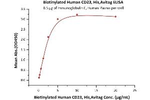 Immobilized Immunoglobulin E, Human Plasma at 5 μg/mL (100 μL/well) can bind Biotinylated Human CD23, His,Avitag (ABIN5674588,ABIN6253699) with a linear range of 0. (FCER2 Protein (AA 48-321) (His tag,AVI tag,Biotin))