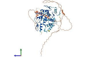 Protein Structure (PS) image for Zinc Finger Protein 446 (ZNF446) (AA 1-494) protein (His tag) (ABIN7545708)