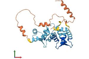 Protein Structure (PS) image for Kv Channel Interacting Protein 4 (KCNIP4) (AA 1-250) protein (His tag) (ABIN7548628)