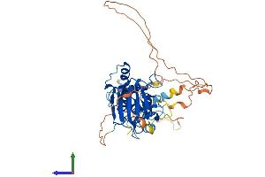 Protein Structure (PS) image for SMAD, Mothers Against DPP Homolog 7 (SMAD7) (AA 1-426) protein (His tag) (ABIN7562293)