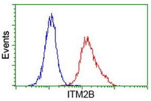 Image no. 3 for anti-Integral Membrane Protein 2B (ITM2B) antibody (ABIN1496395) (ITM2B 抗体)