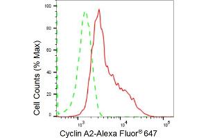 Flow cytometric analysis of Cyclin A2 expression in HepG2 cells using Cyclin A2 antibody (ABIN7798186), 1:2,000). (Recombinant Cyclin A 抗体)