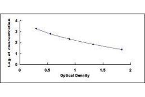ELISA image for gamma-Aminobutyric Acid (GABA) ELISA Kit (ABIN1118057)