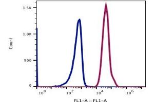 Flow Cytometry (FACS) image for anti-HLA-ABC (HLA-ABC) antibody (FITC) (ABIN5067848) (HLA-ABC 抗体  (FITC))