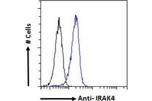 ABIN185338 Flow cytometric analysis of paraformaldehyde fixed HeLa cells (blue line), permeabilized with 0. (IRAK4 抗体  (N-Term))