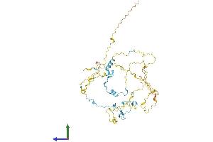 AlphaFold protein structure predicition of Human Recombinant STPG2 Protein, UniprotID Q8N412