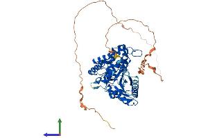 AlphaFold protein structure predicition of Mouse Recombinant Cgas Protein, UniprotID Q8C6L5