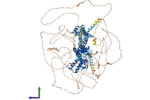 Protein Structure (PS) image for Hyperpolarization Activated Cyclic Nucleotide-Gated Potassium Channel 4 (HCN4) (AA 1-1203) protein (His tag) (ABIN7554071)