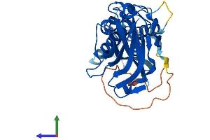 Protein Structure (PS) image for Axin Interactor, Dorsalization Associated (AIDA) (AA 1-305) protein (His tag) (ABIN7559138)