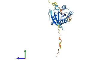 Protein Structure (PS) image for RAB17, Member RAS Oncogene Family (RAB17) (AA 1-214) protein (His tag) (ABIN7563161)