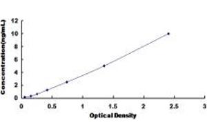 Typical standard curve (BLK ELISA 试剂盒)