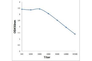 Antigen: 0. (ISR-beta 抗体  (AA 801-900))