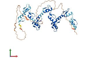 Protein Structure (PS) image for Zinc Finger Protein 70 (ZNF70) (AA 1-446) protein (His tag) (ABIN7545703)