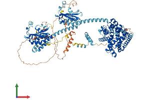 Protein Structure (PS) image for phosphodiesterase 11A (PDE11A) (AA 1-933) protein (His tag) (ABIN7562790)