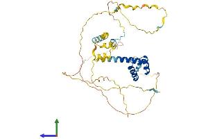 AlphaFold protein structure predicition of Mouse Recombinant Barhl2 Protein, UniprotID Q8VIB5