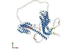 Protein Structure (PS) image for T-Complex 11, Testis-Specific (TCP11) (AA 1-566) protein (His tag) (ABIN7556861)