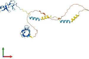 Protein Structure (PS) image for LIM and SH3 Protein 1 (LASP1) (AA 1-261) protein (His tag) (ABIN7549030)