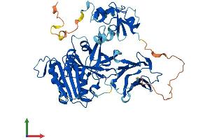 Protein Structure (PS) image for Cytochrome B5 Reductase 4 (CYB5R4) (AA 1-521) protein (His tag) (ABIN7549688)