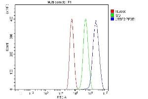 Flow Cytometry analysis of U87 cells using anti-CTBP2 antibody (ABIN7601326). (CTBP2 抗体  (AA 321-445))
