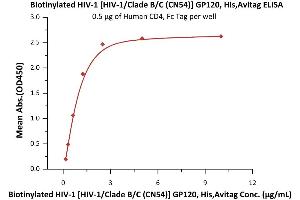 Human Immunodeficiency Virus Surface Glycoprotein (HIV gp120) (AA 36-507) (Active) protein (His tag,AVI tag,Biotin)