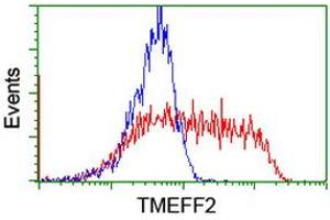 HEK293T cells transfected with either RC203736 overexpress plasmid (Red) or empty vector control plasmid (Blue) were immunostained by anti-TMEFF2 antibody (ABIN2455705), and then analyzed by flow cytometry. (TMEFF2 抗体)