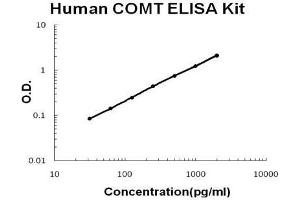 Human COMT PicoKine ELISA Kit standard curve (COMT ELISA 试剂盒)
