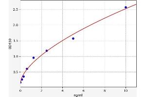 Follistatin ELISA 试剂盒