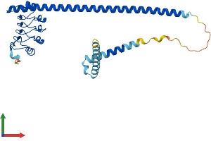 Protein Structure (PS) image for Leucine Rich Repeat Containing 59 (LRRC59) (AA 1-307) protein (His tag) (ABIN7549095)
