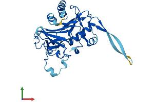 Protein Structure (PS) image for Radial Spoke Head 9 Homolog (RSPH9) (AA 1-276) protein (His tag) (ABIN7545864)
