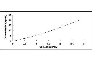 ELISA image for Perforin 1 (Pore Forming Protein) (PRF1) ELISA Kit (ABIN4947938)