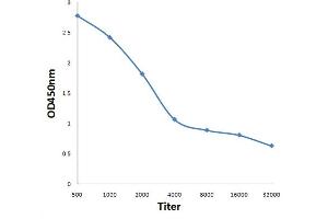 ELISA image for anti-Tumor Necrosis Factor, alpha-Induced Protein 2 (TNFAIP2) (AA 551-654) antibody (ABIN722215)