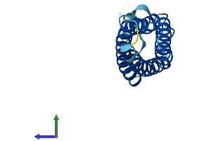 AlphaFold protein structure predicition of Human Recombinant MAL Protein, UniprotID P21145 (MAL Protein (AA 1-153) (His tag))