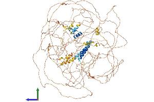 Protein Structure (PS) image for B-Cell CLL/lymphoma 9 (BCL9) (AA 1-1426) protein (His tag) (ABIN7552529)