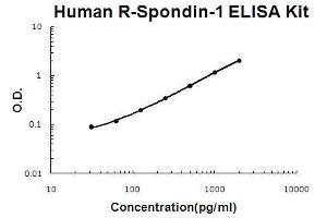 Human R-Spondin-1 PicoKine ELISA Kit standard curve (RSPO1 ELISA 试剂盒)