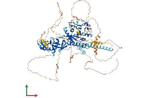 AlphaFold protein structure predicition of Human Recombinant DDHD1 Protein, UniprotID Q8NEL9