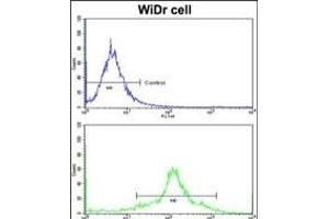 Flow cytometric analysis of widr cells using PDIA3 Antibody (Center)(bottom histogram) compared to a negative control cell (top histogram)FITC-conjugated goat-anti-rabbit secondary antibodies were used for the analysis. (PDIA3 抗体  (AA 192-220))