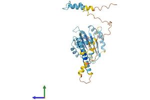 Protein Structure (PS) image for Proteasome (Prosome, Macropain) 26S Subunit, Non-ATPase, 4 (Psmd4) (AA 1-376) protein (His tag) (ABIN7562286)