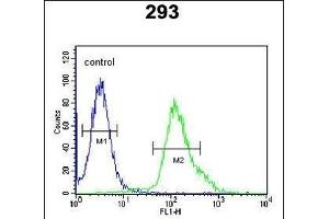 FGFBP3 Antibody (C-term) (ABIN651816 and ABIN2840409) flow cytometric analysis of 293 cells (right histogram) compared to a negative control cell (left histogram). (FGFBP3 抗体  (C-Term))