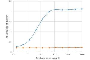 Binding curve of anti-ICOSL antibody HK5. (Recombinant ICOSLG 抗体)