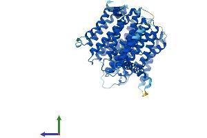 AlphaFold protein structure predicition of Mouse Recombinant Mtnd5 Protein, UniprotID P03921