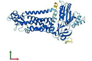 Protein Structure (PS) image for NADPH Oxidase 3 (NOX3) (AA 1-568) protein (His tag) (ABIN7549897)