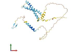 Protein Structure (PS) image for OCIA Domain Containing 1 (OCIAD1) (AA 1-245) protein (His tag) (ABIN7550065)