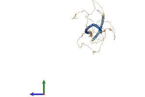AlphaFold protein structure predicition of Mouse Recombinant Lzts3 Protein, UniprotID A2AHG0